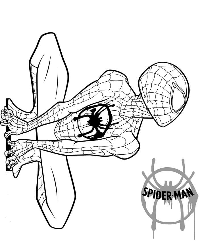 printable coloring pages spider-man