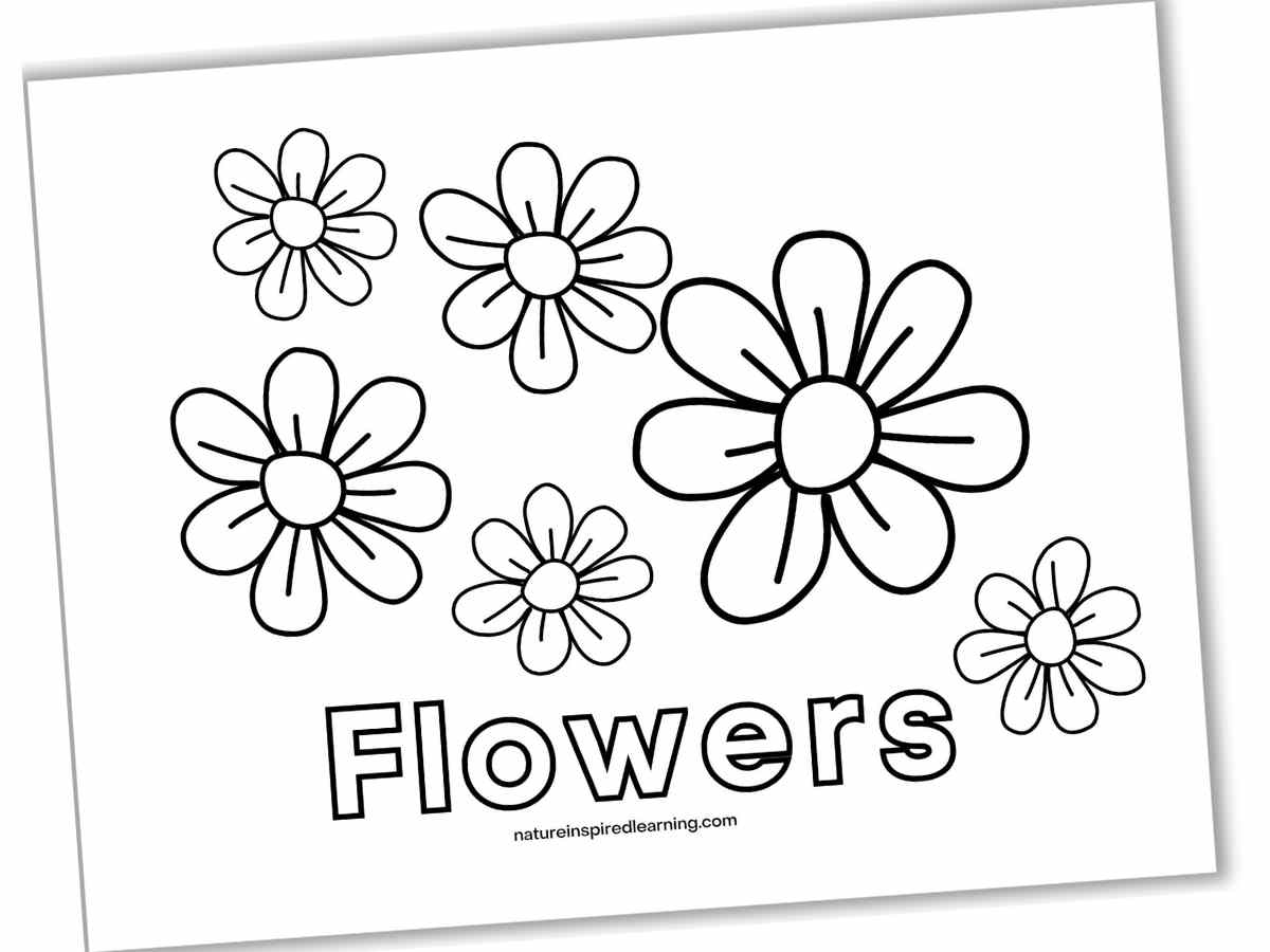 Spring Flower Coloring Pages Pre Free Printable Easy Pdf Infoupdate