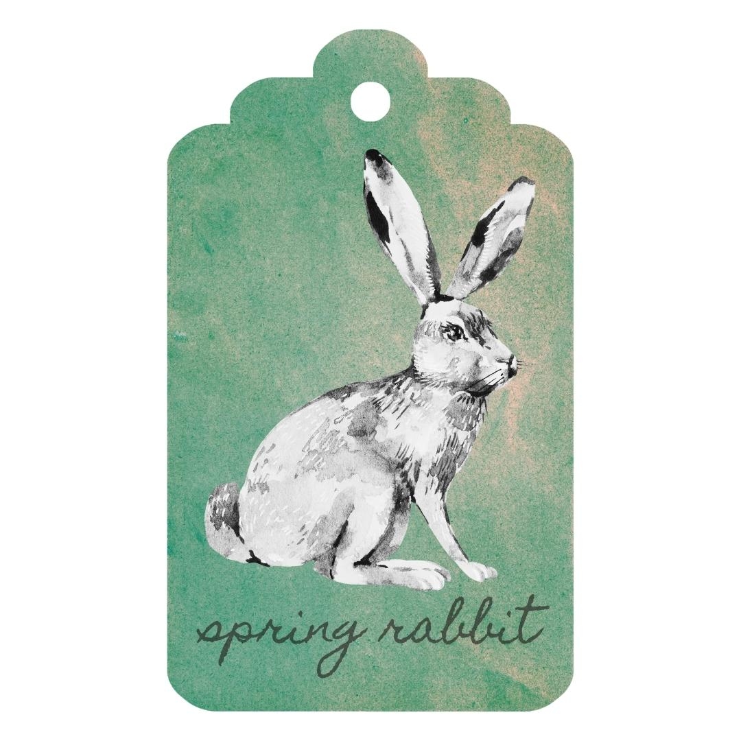 Spring Rabbit Tags FREE PRINTABLES