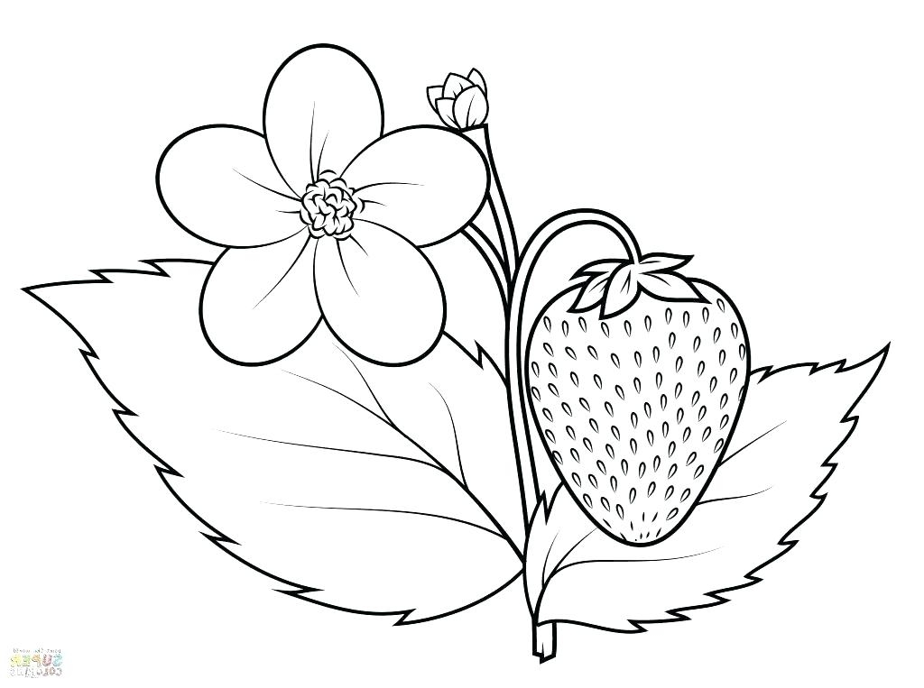 strawberry coloring page easy