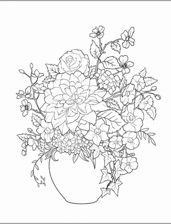 summer coloring pages for seniors