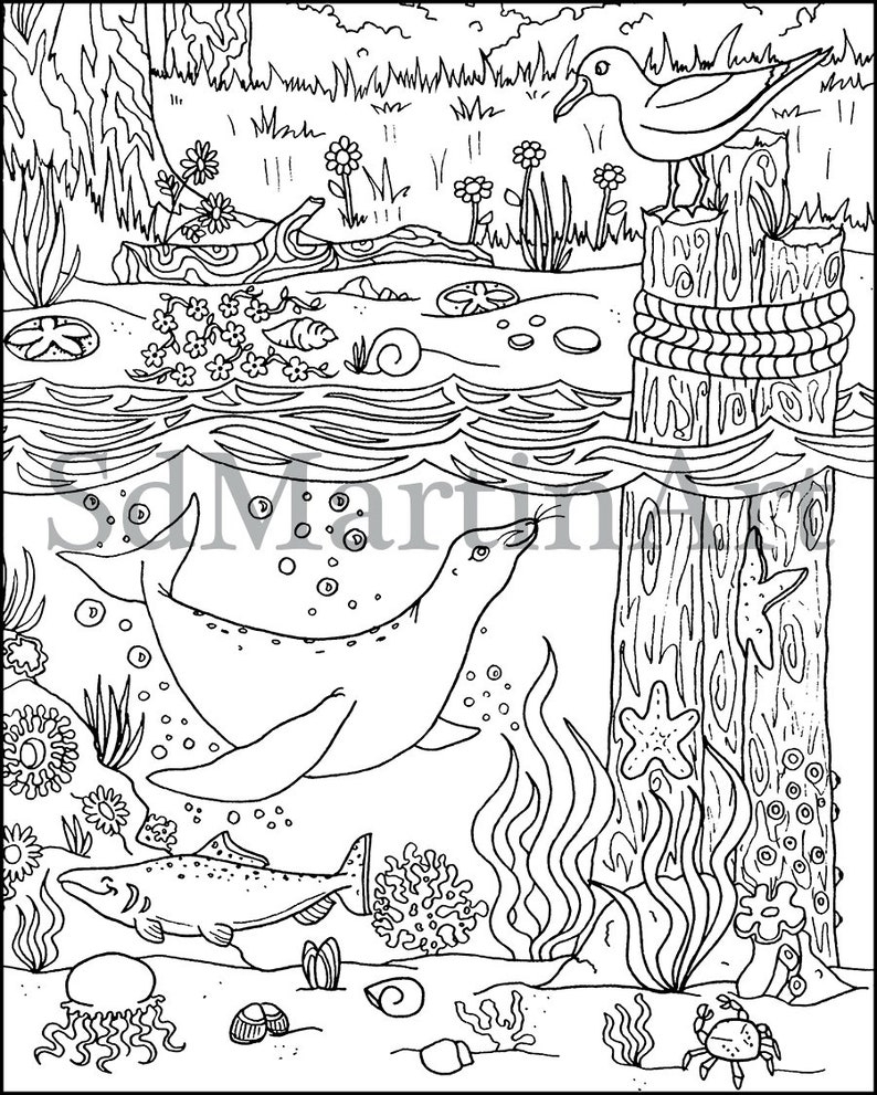 Summertime Printable Adult Coloring Book 5 PDF Coloring Pages For 