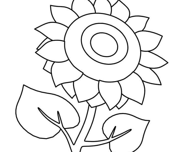 Sunflower Coloring Pages