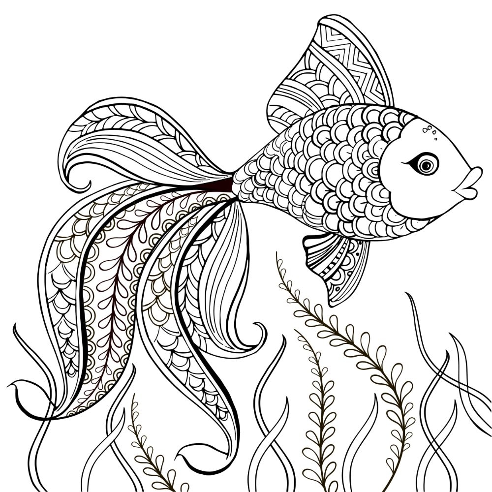 Supervisar Acortar Acorazado Fish Coloring Sheet Mil metro Algun Lado Supervisar Acortar Acorazado Fish Coloring Sheet Mil metro Algun Lado