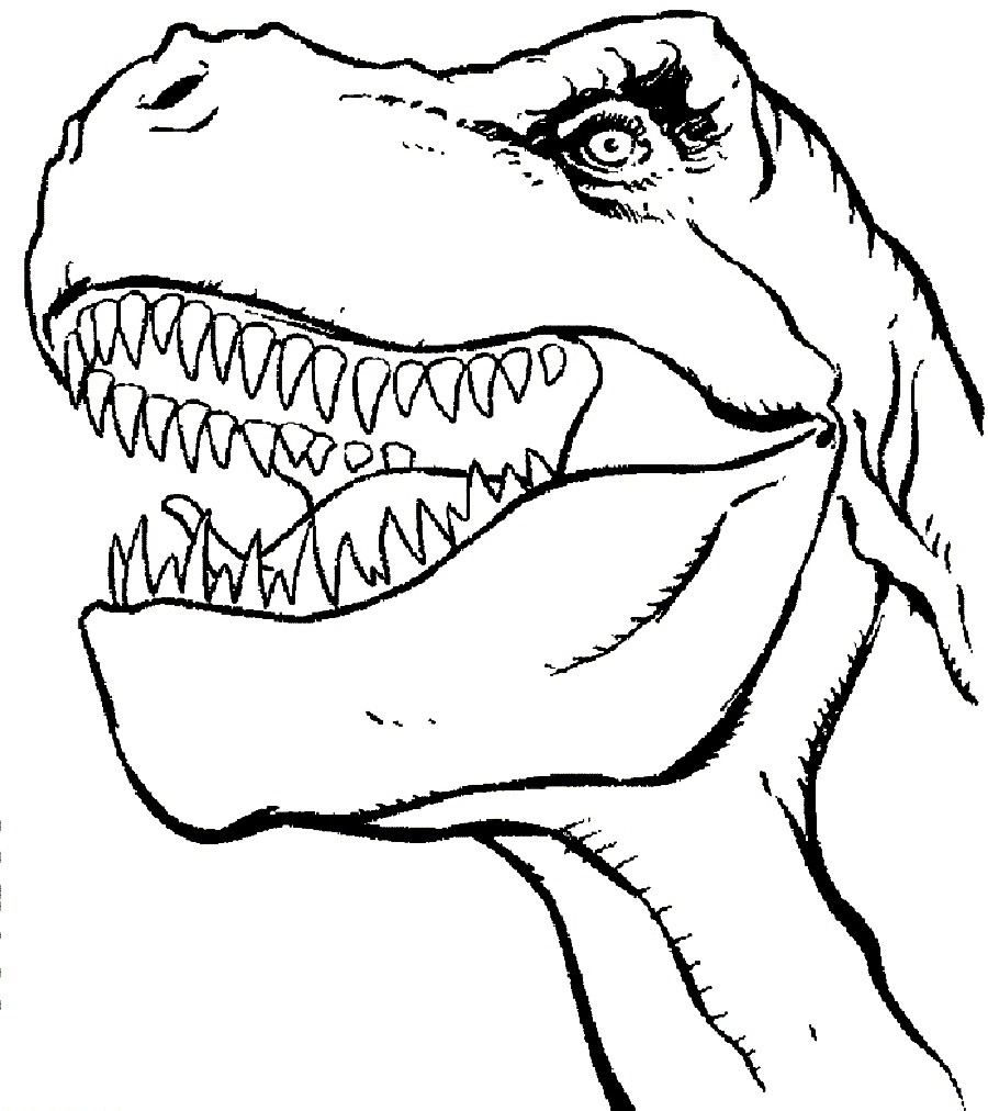 T Rex Outline Free Download On ClipArtMag