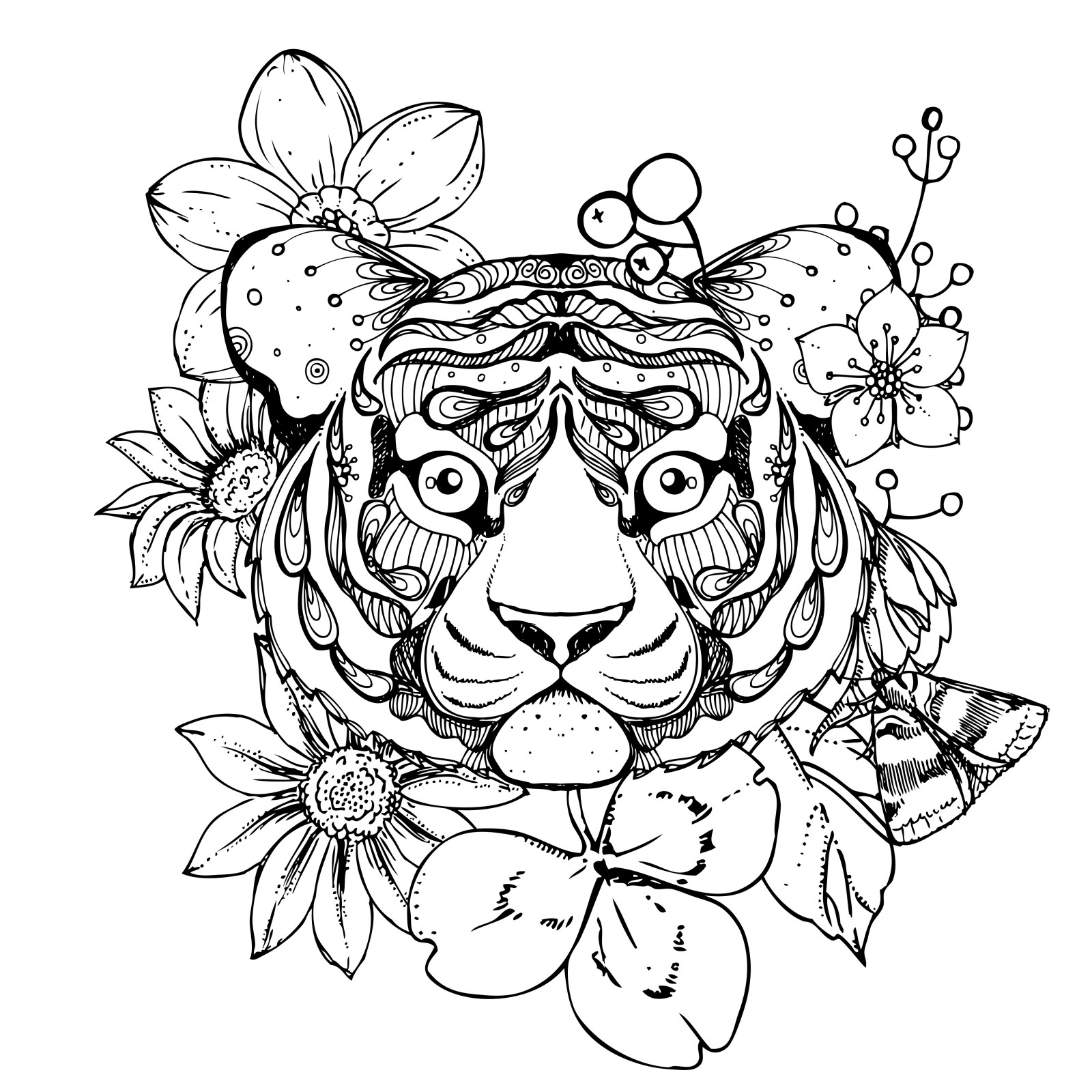 tiger adult coloring pages