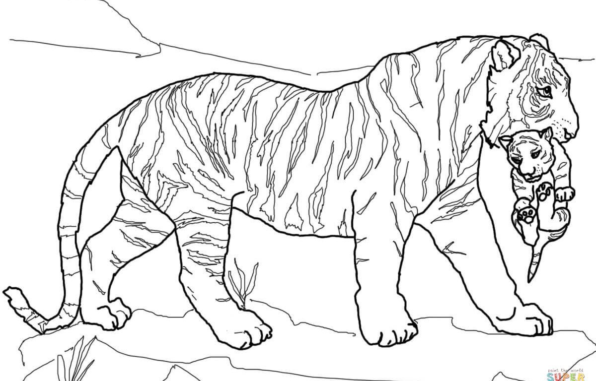 Tiger Adult Coloring Pages Coloring Pages