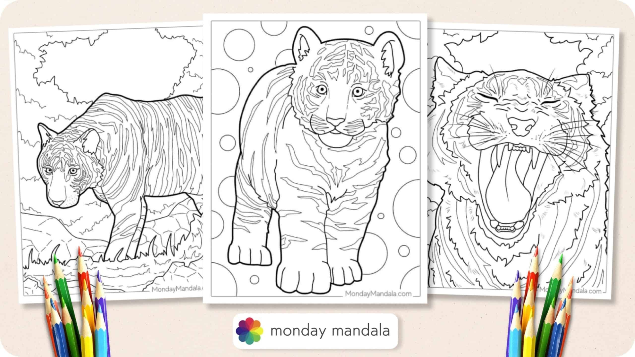 tiger coloring sheets printable free