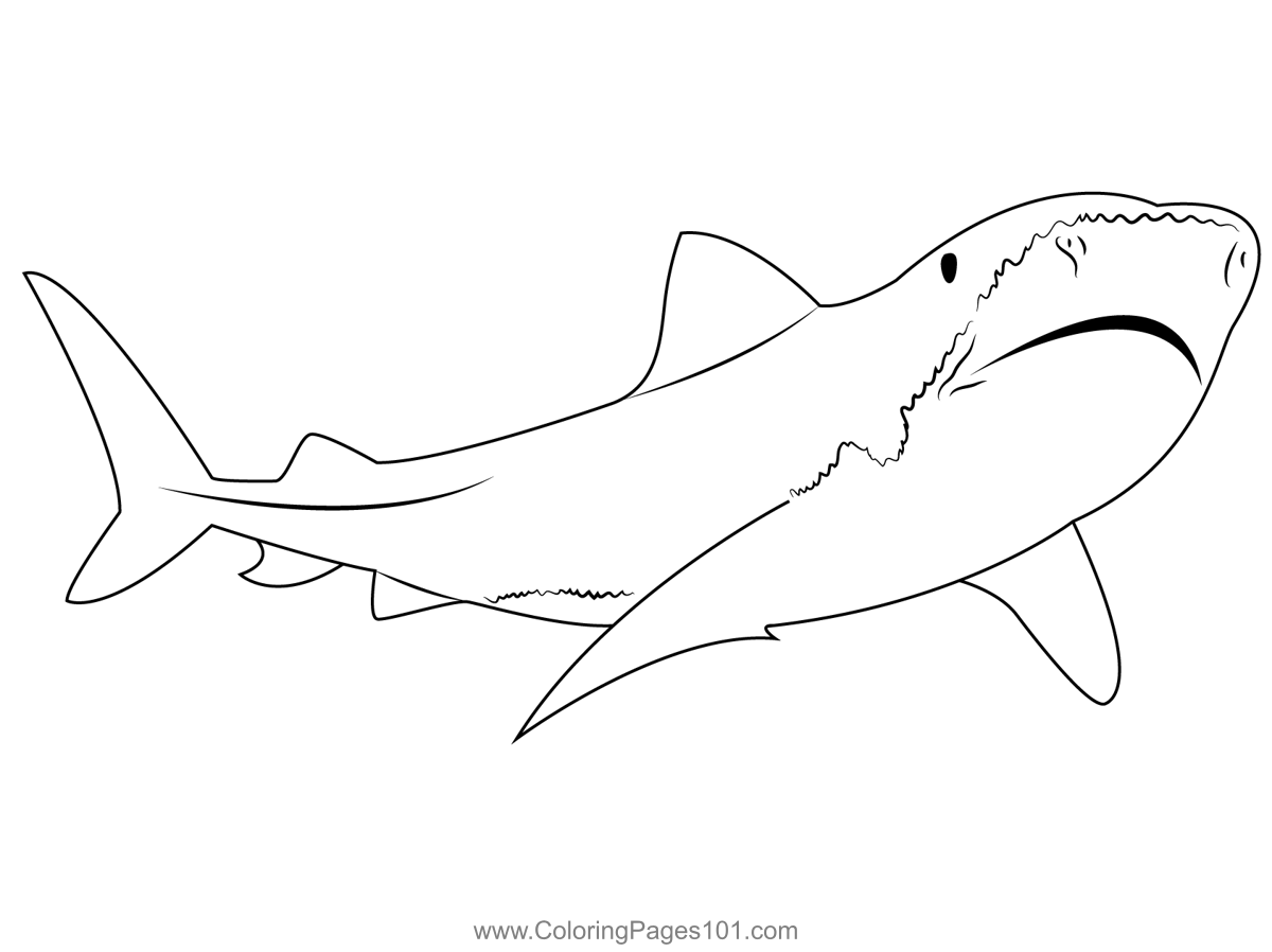 Tiger Shark Coloring Page For Kids Free Sharks Printable Coloring 