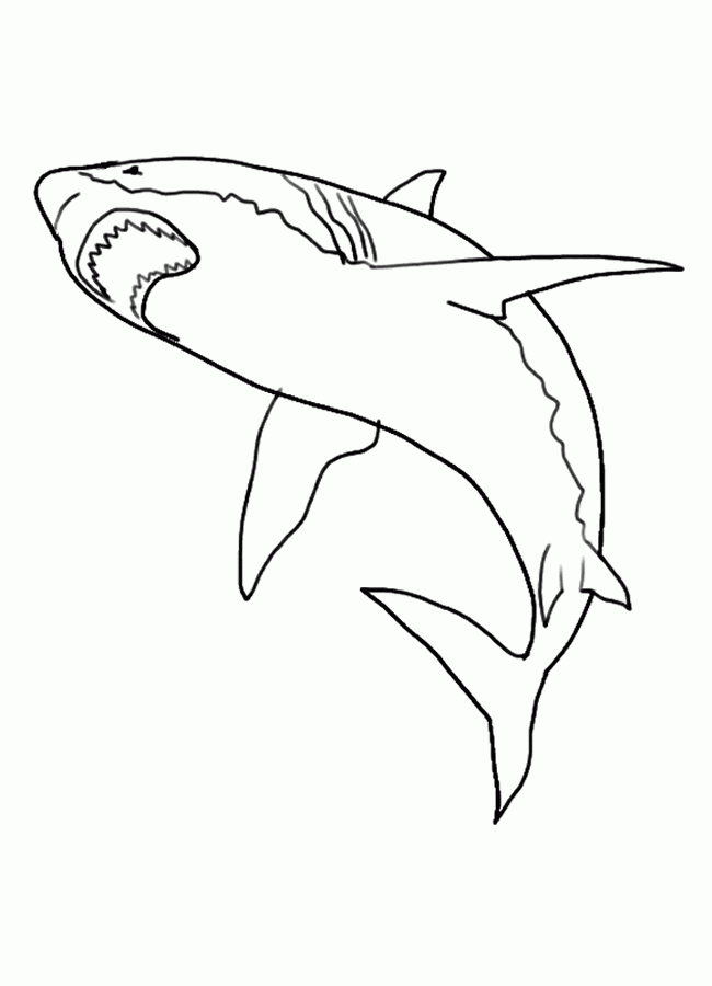 realistic shark coloring pages