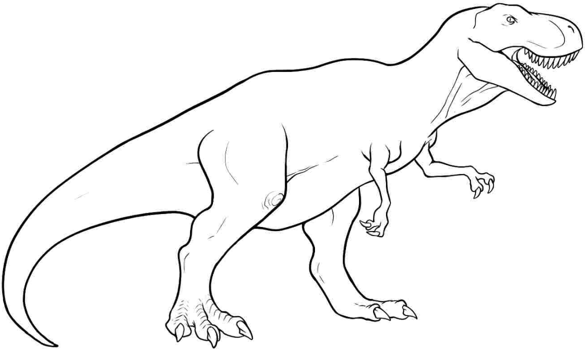t rex color chart