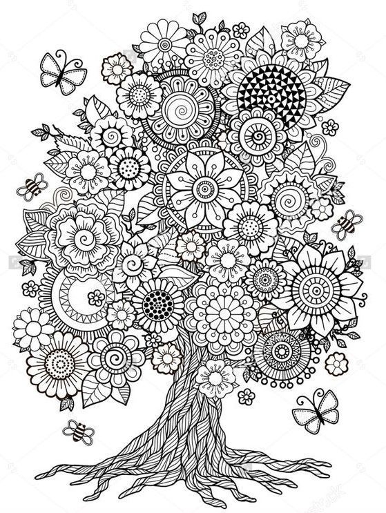 Trees Coloring Books AdultcoloringbookZ