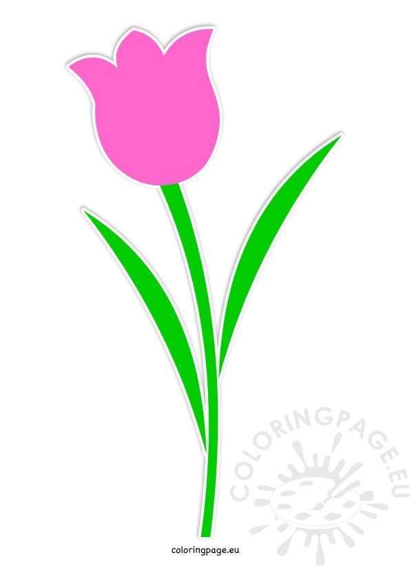 Tulip Flower Printable Coloring Page