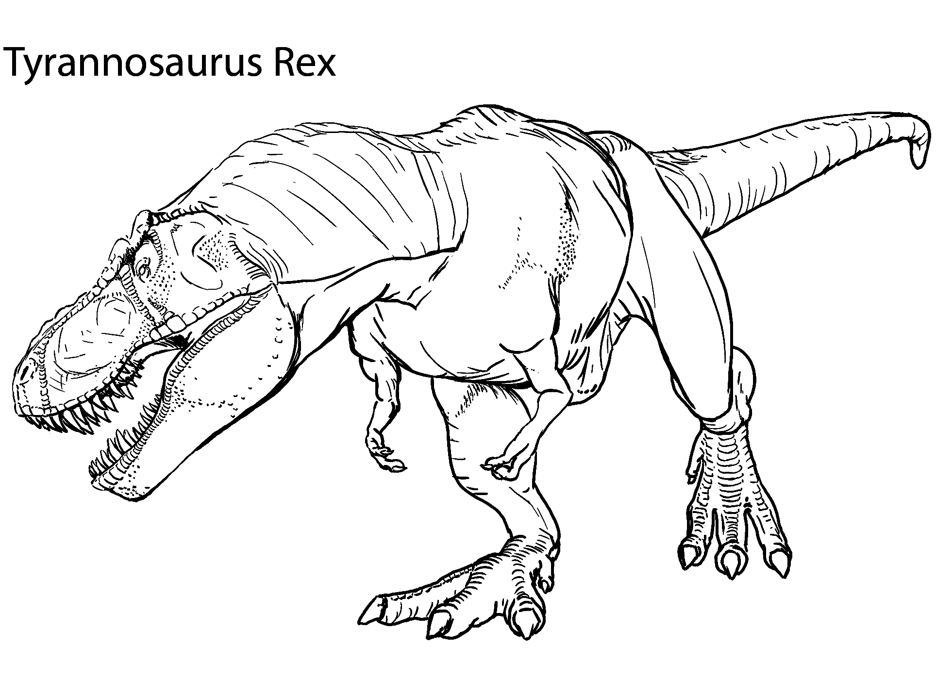 printable tyrannosaurus rex pictures