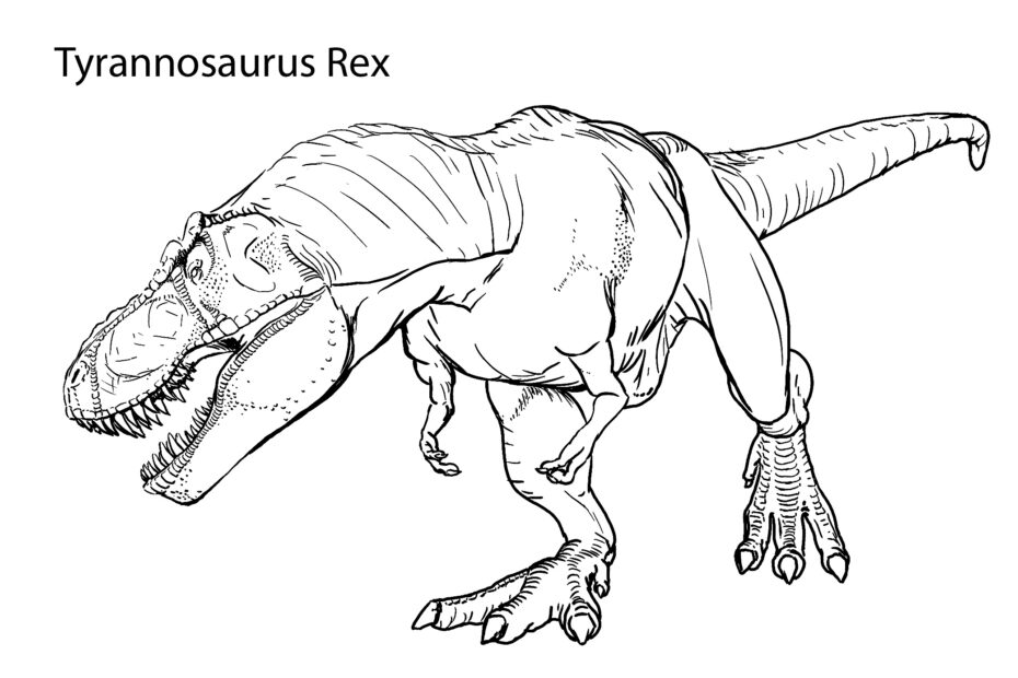 Tyrannosaurus Rex Coloring Pages Dinosaurs Coloring Pages Coloring
