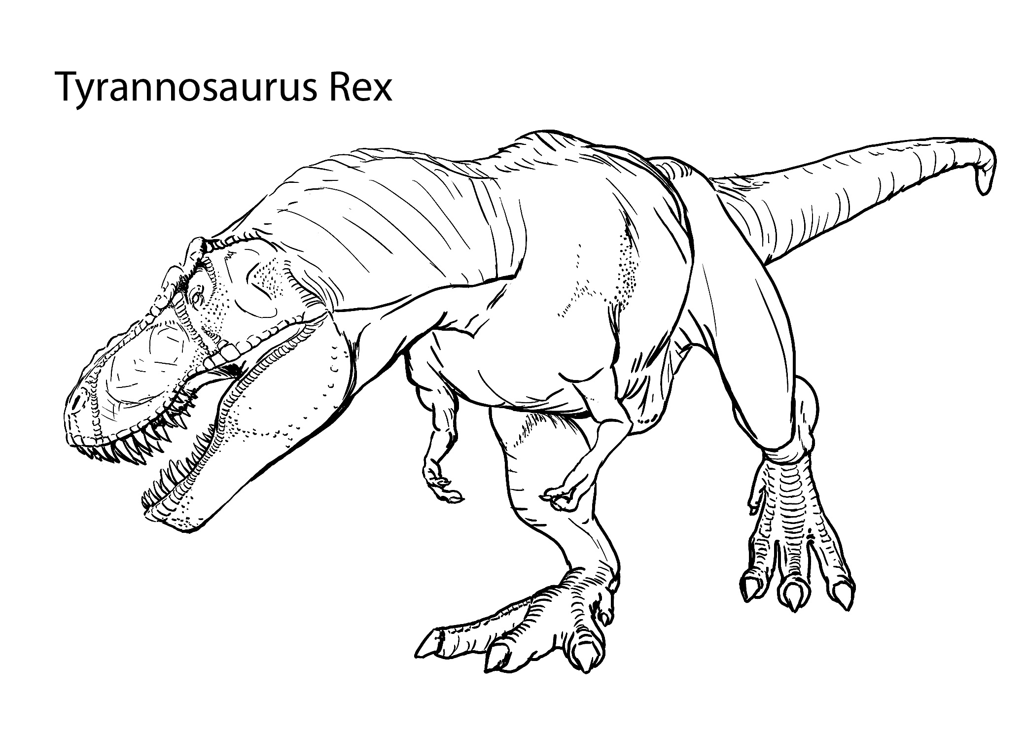 Tyrannosaurus Rex Coloring Pages Dinosaurs Coloring Pages Coloring Tyrannosaurus Rex Coloring Pages Dinosaurs Coloring Pages Coloring