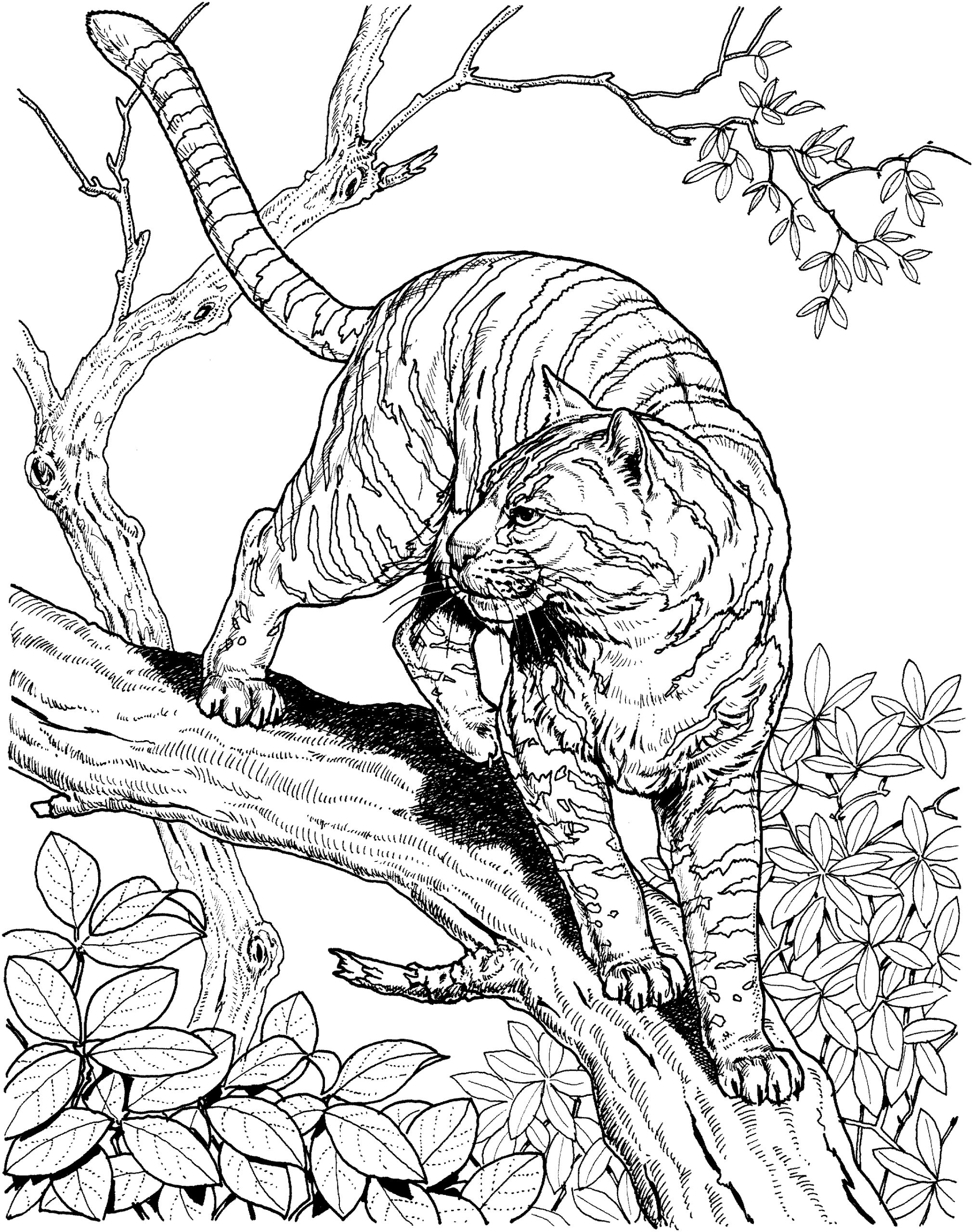 super detailed coloring sheets
