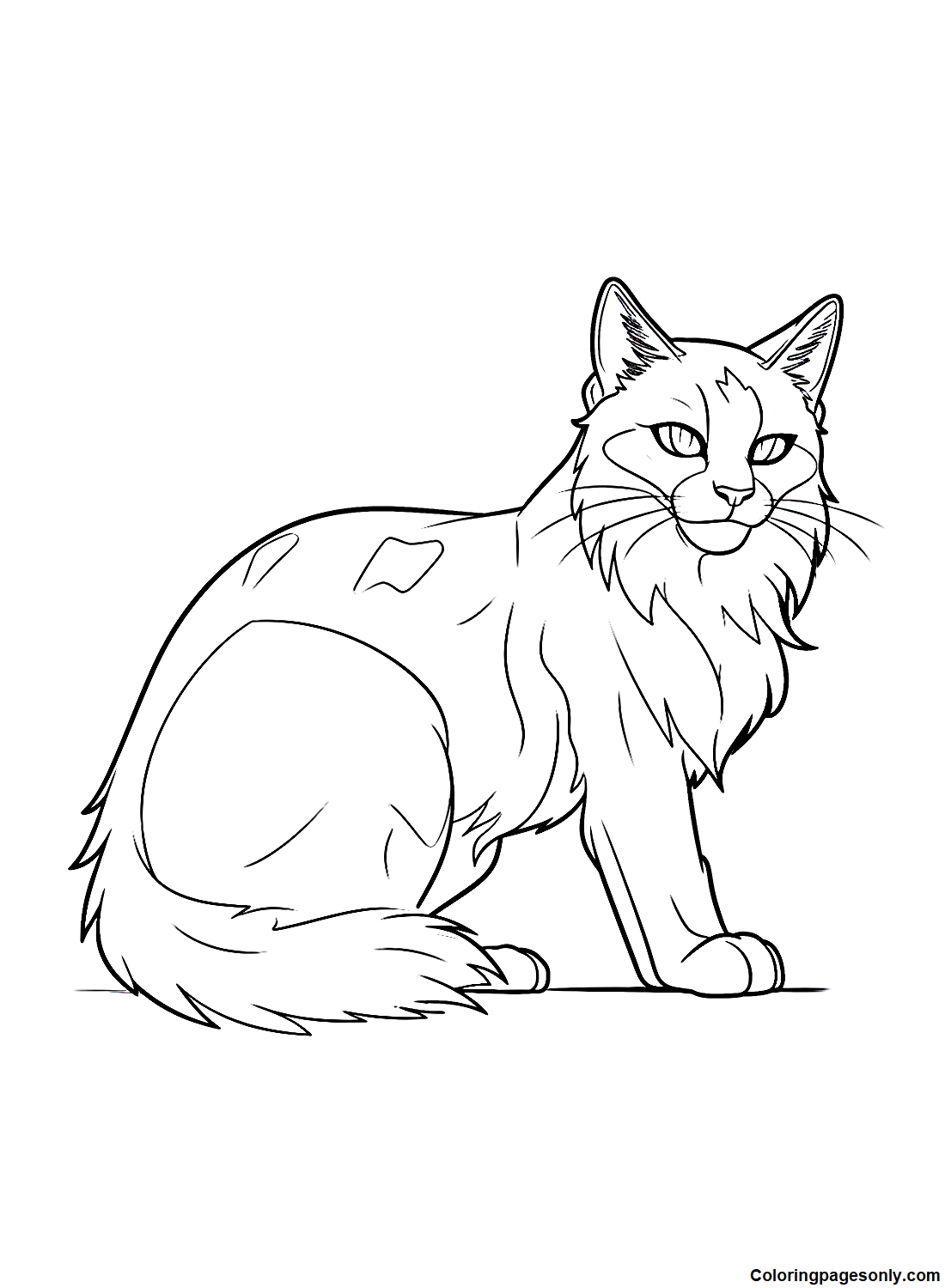 Warrior Cats Coloring Pages Printable Cats Warriors Coloring Pages Cat 