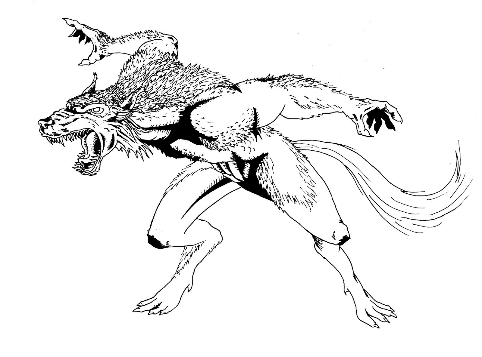 Werewolf Coloring Pages Printable At GetDrawings Free Download