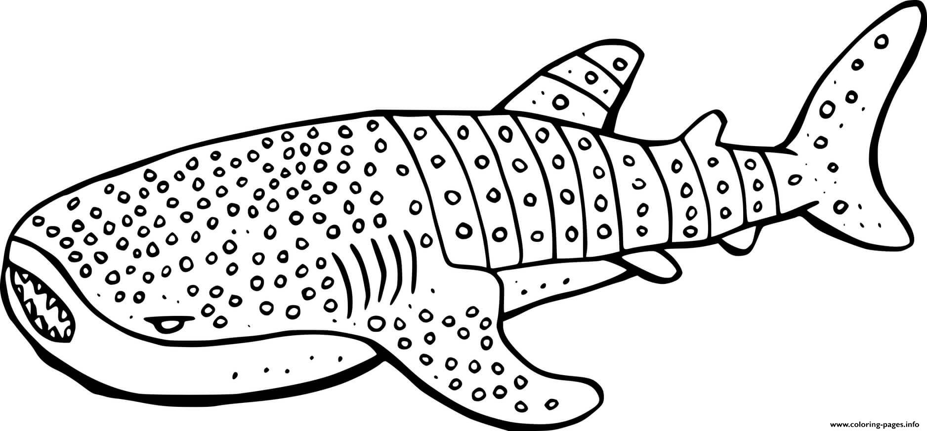 shark free printable coloring pages