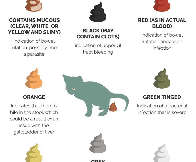 When Do Kittens Start Pooping With Poo Color Chart 40 OFF