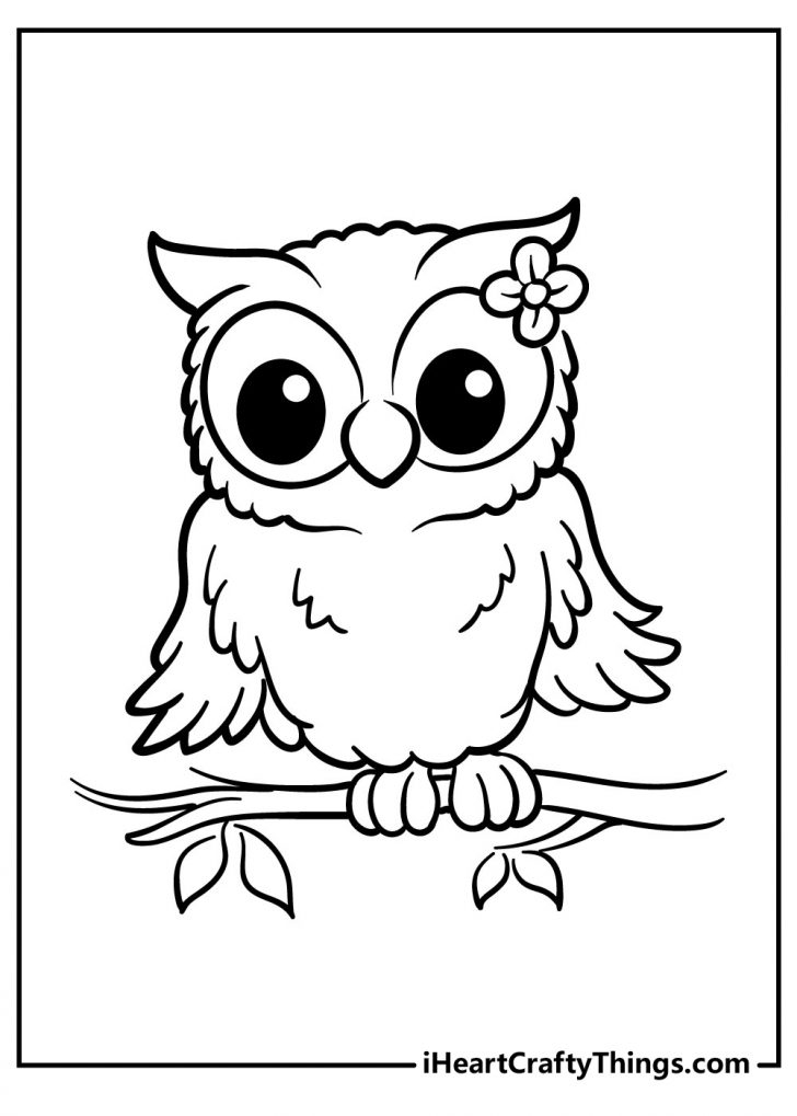 Wise Owl Coloring Pages Free Printables Coloring Library The Best 
