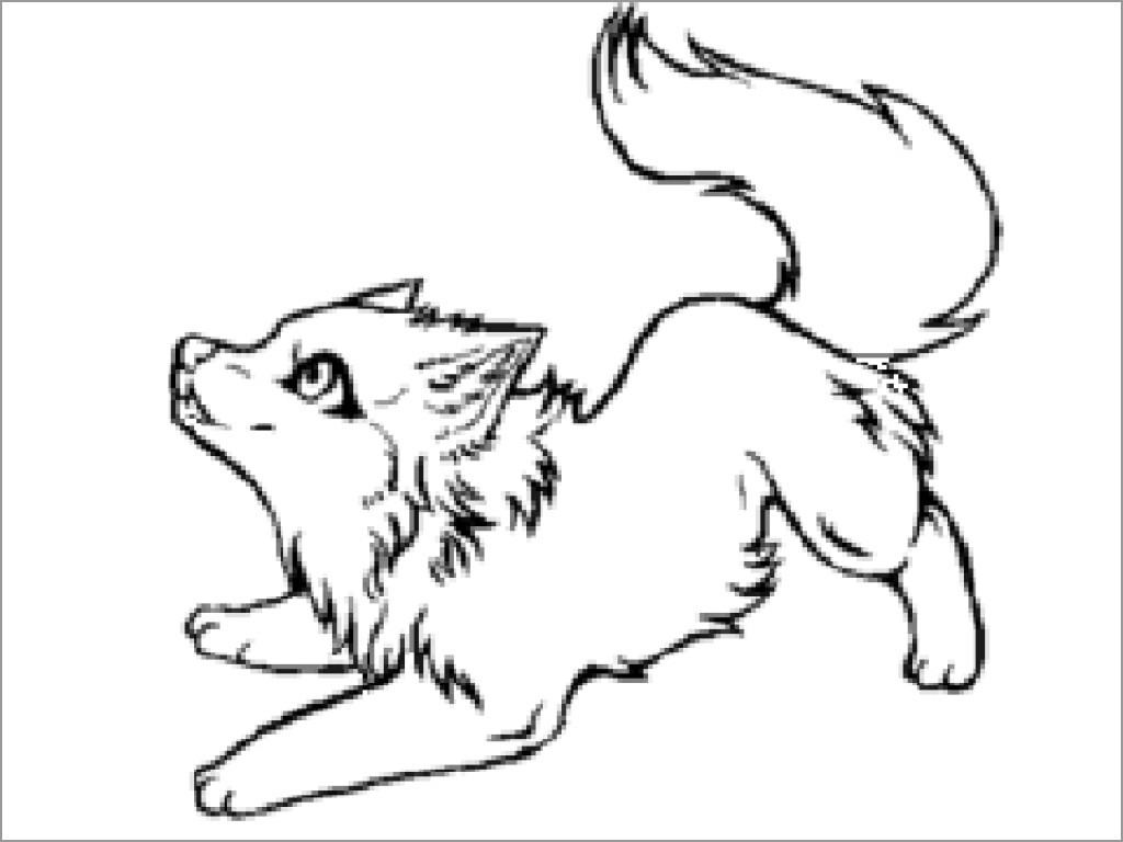 Wolf Coloring Pages ColoringBay
