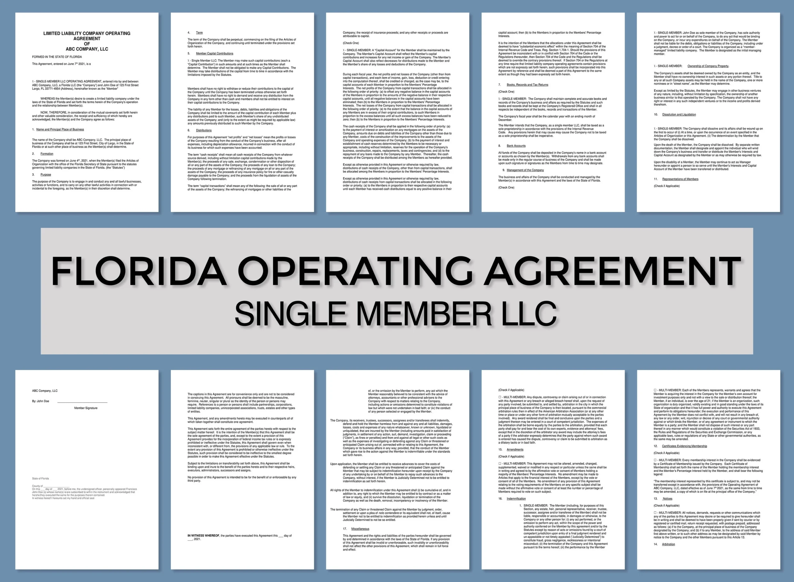 Florida Operating Agreement template LLC instant Download single Member Agreement Etsy Florida Operating Agreement template LLC instant Download single Member Agreement Etsy